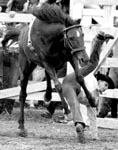 1957
